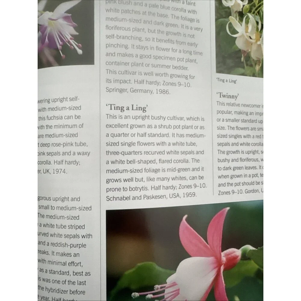JOHN NICHOLASS - THE ILLUSTRATED GARDENER'S GUIDE TO GROWING FUCHSIAS